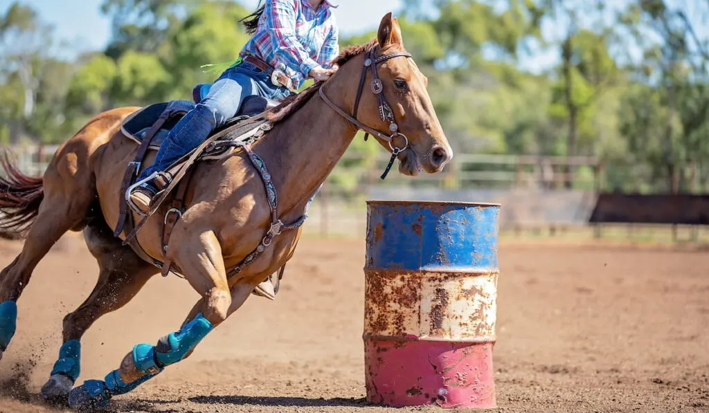 Close up of man on horseback making a figure eight turn in a barrel race 