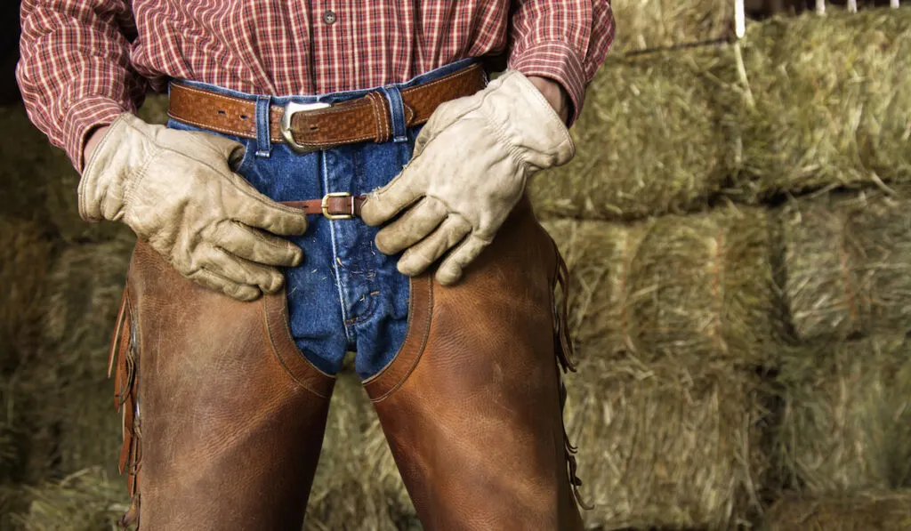 Closeup of a cowboy hands on his waist, wearing chaps and standing in front of hay bales