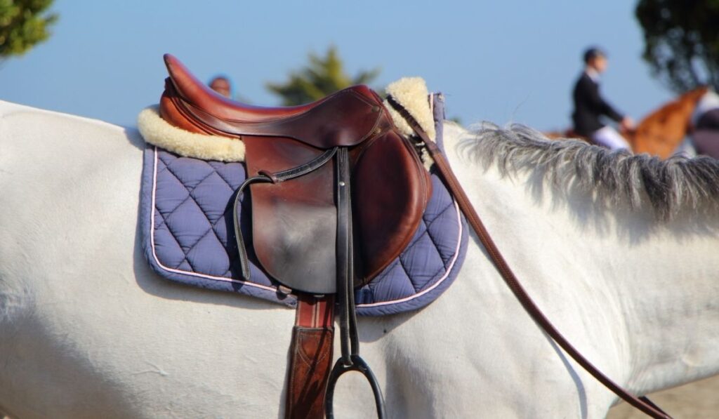 Contoured Saddle Pads