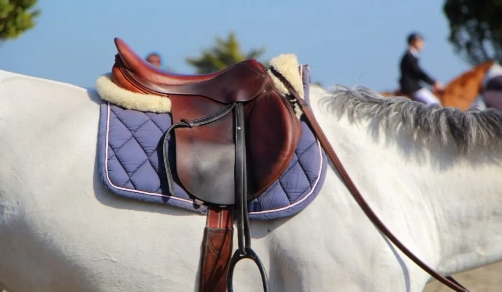 Contoured Saddle Pads