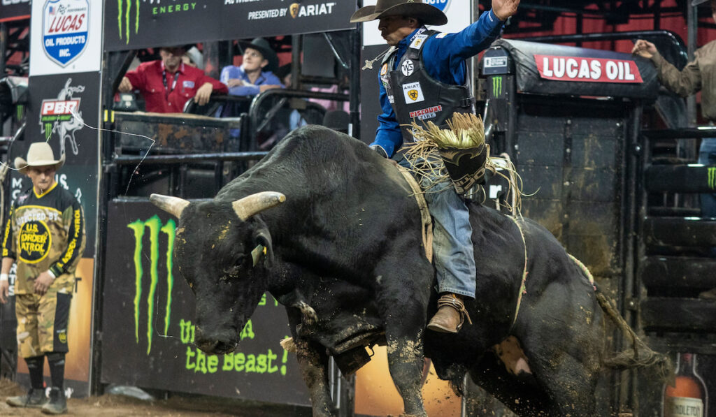 Cowboy during bull riding round on arena