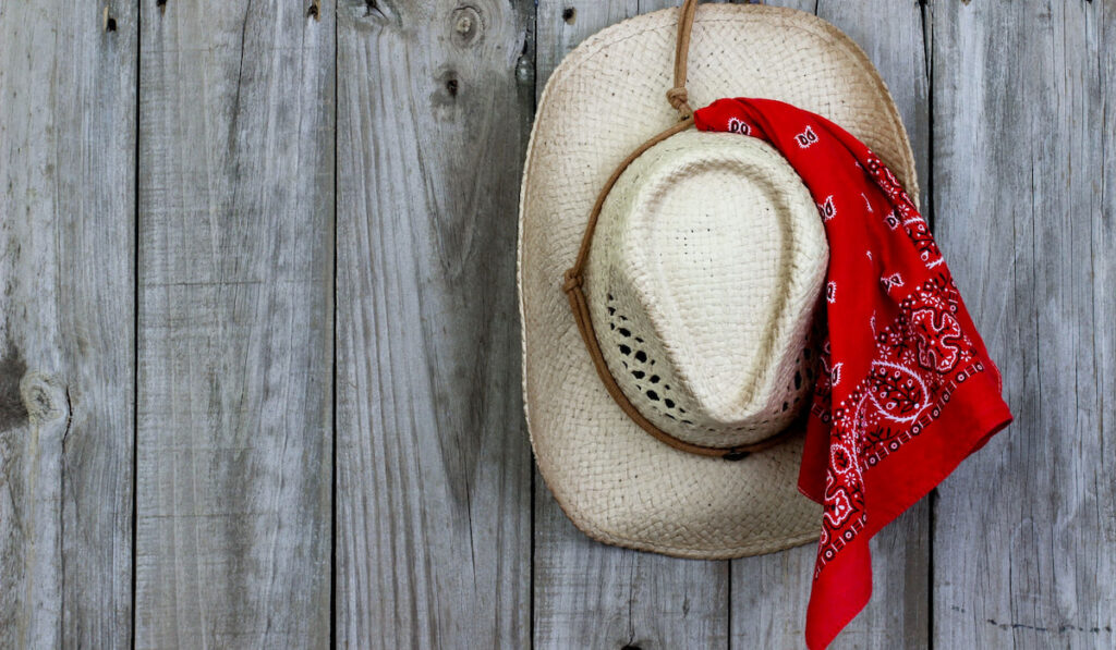 Cowboy hat with red bandanna hanging on antique rustic wooden background 