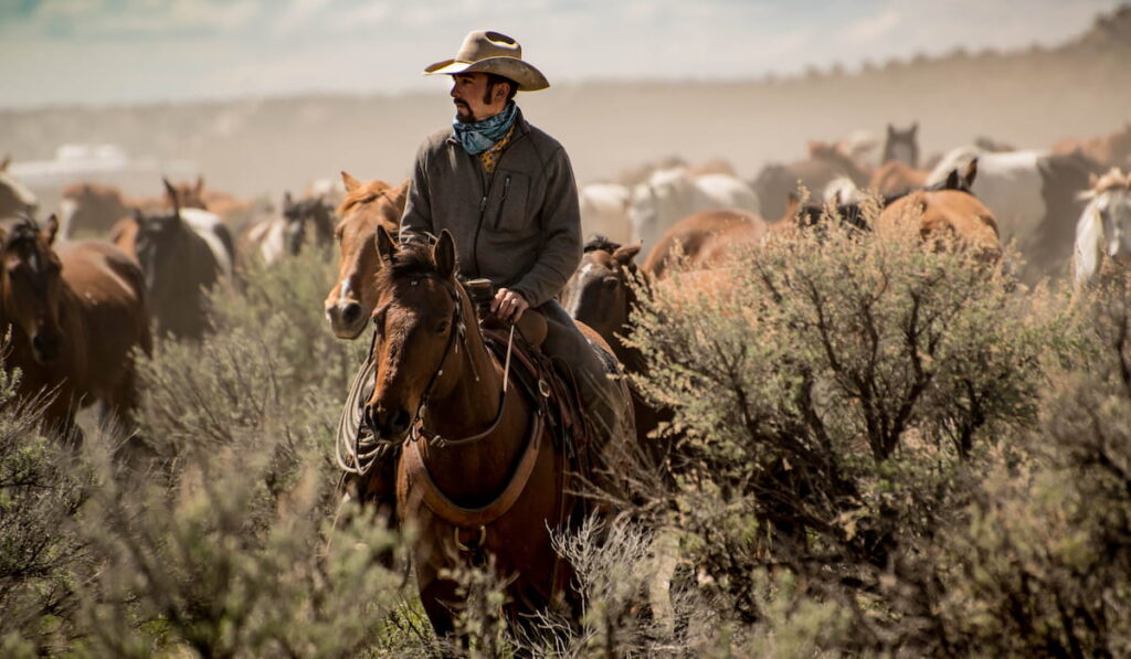 Cowboy leading horse herd through dust and sage brush during horse drive 