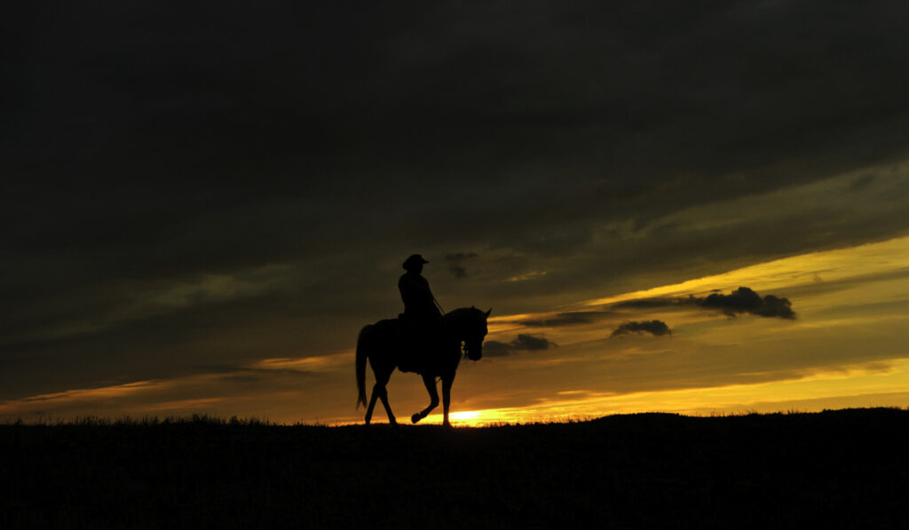 Cowboy rides into the sunset