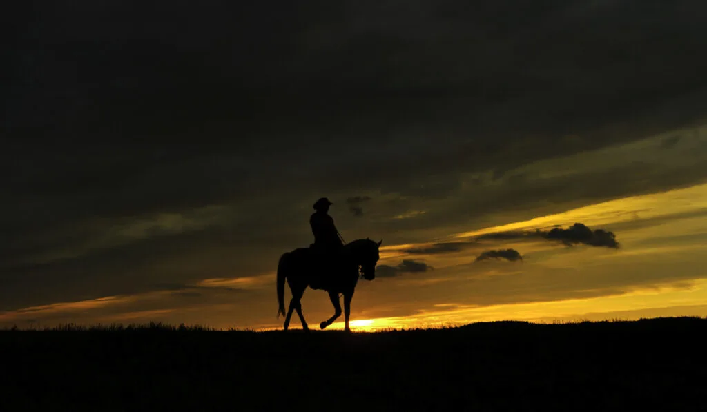 Cowboy rides into the sunset
