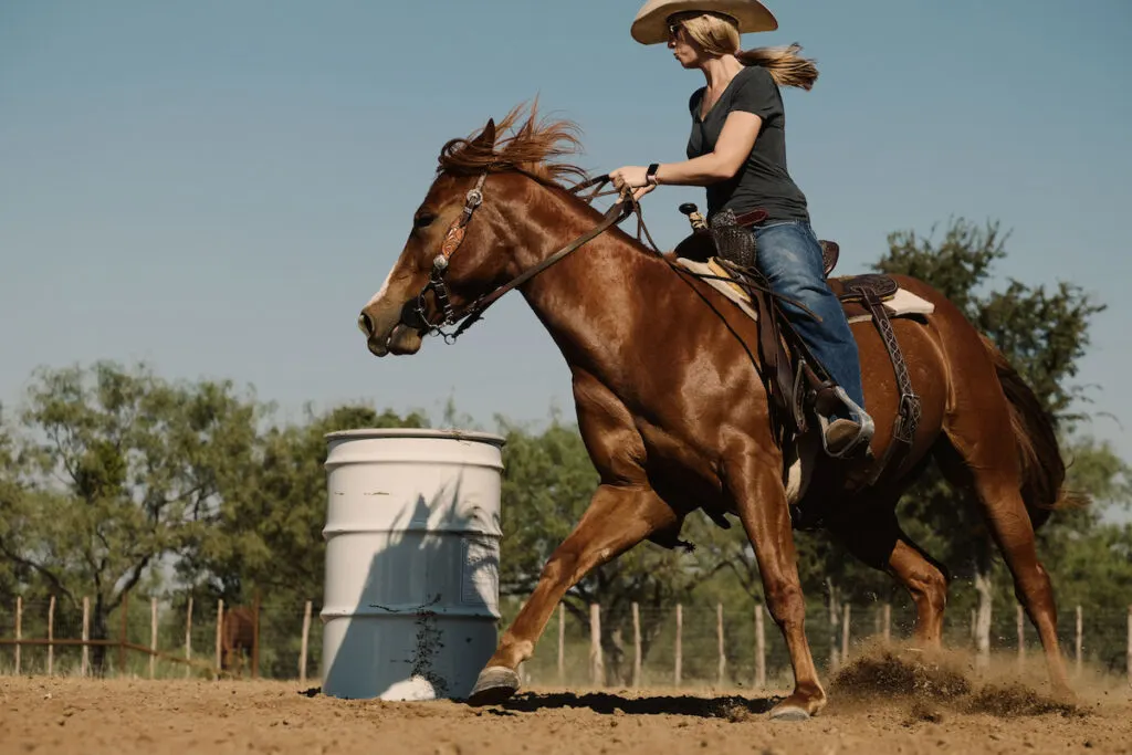 Cowgirl practicing barrel racing for rodeo sport in outdoor arena for western industry with horse