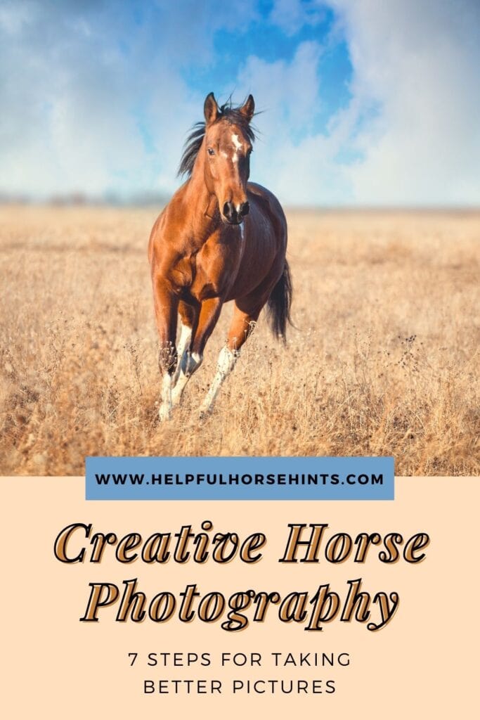 Pinterest pin - Creative Horse Photography - 7 Steps for Taking Better Pictures