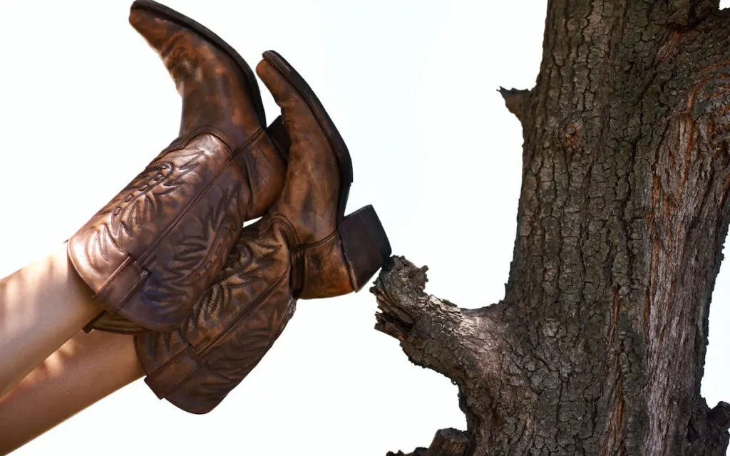 Cropped shot of a person wearing cowboy boots leaning their feet against a tree