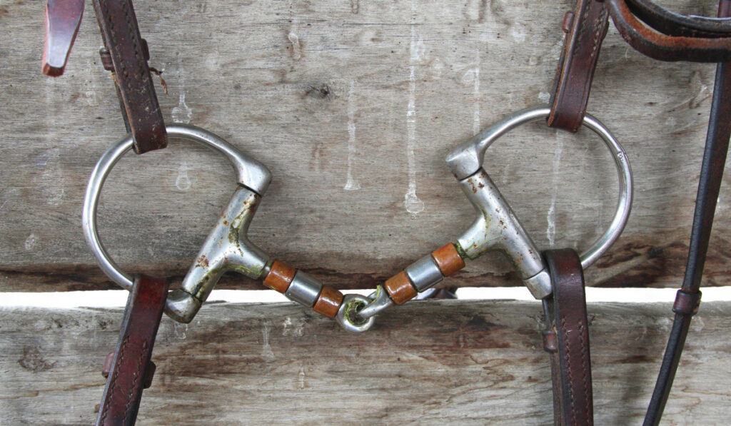D-Ring Snaffle