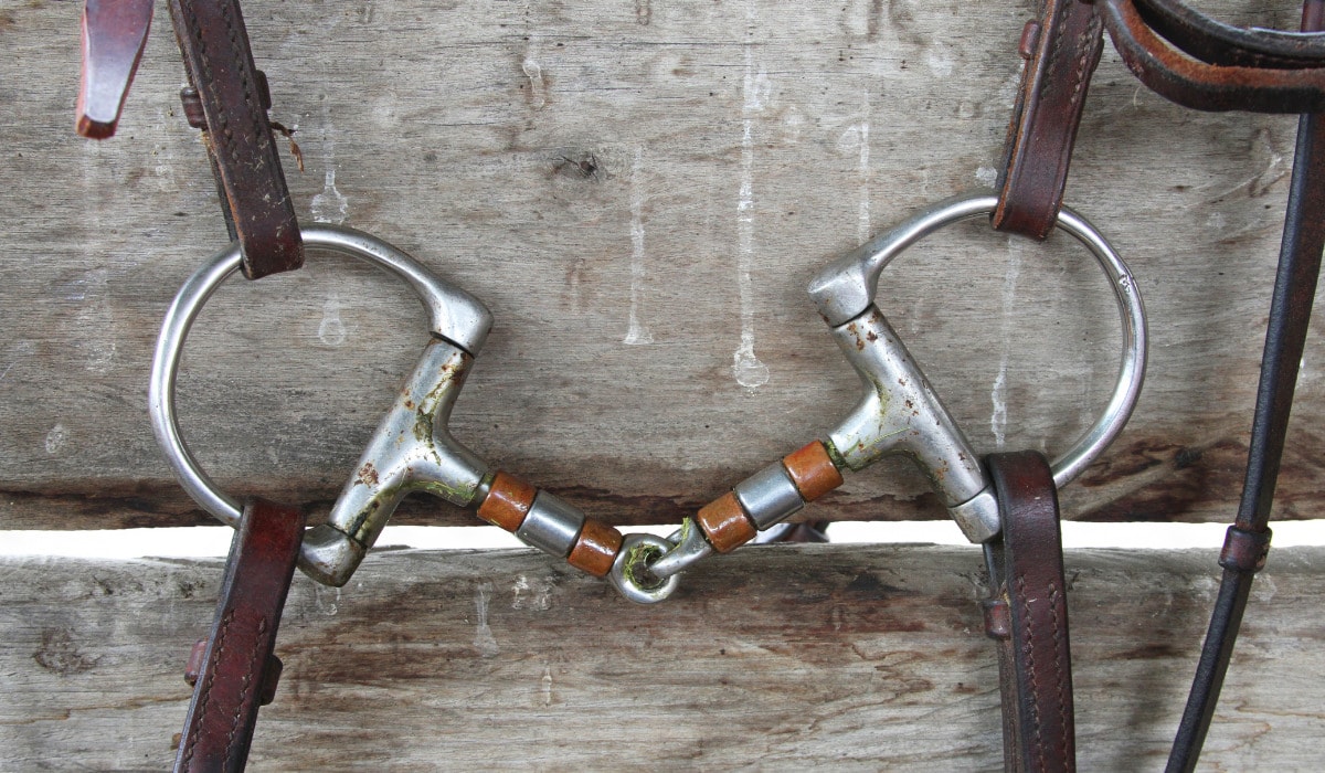 17 Types of Bits for Horses Helpful Horse Hints