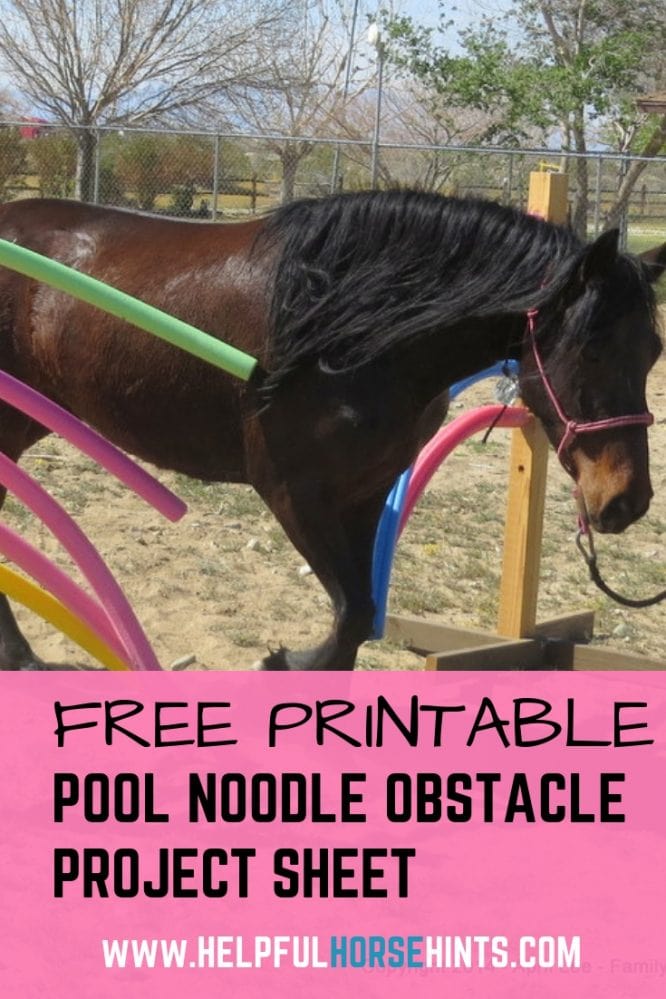 DIY Pool Noodle Horse Obstacle Helpful Horse Hints