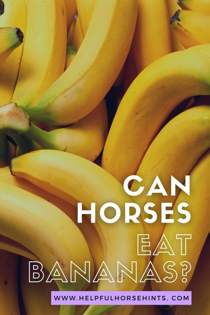 Pinterest pin - Can Horses Eat Bananas
