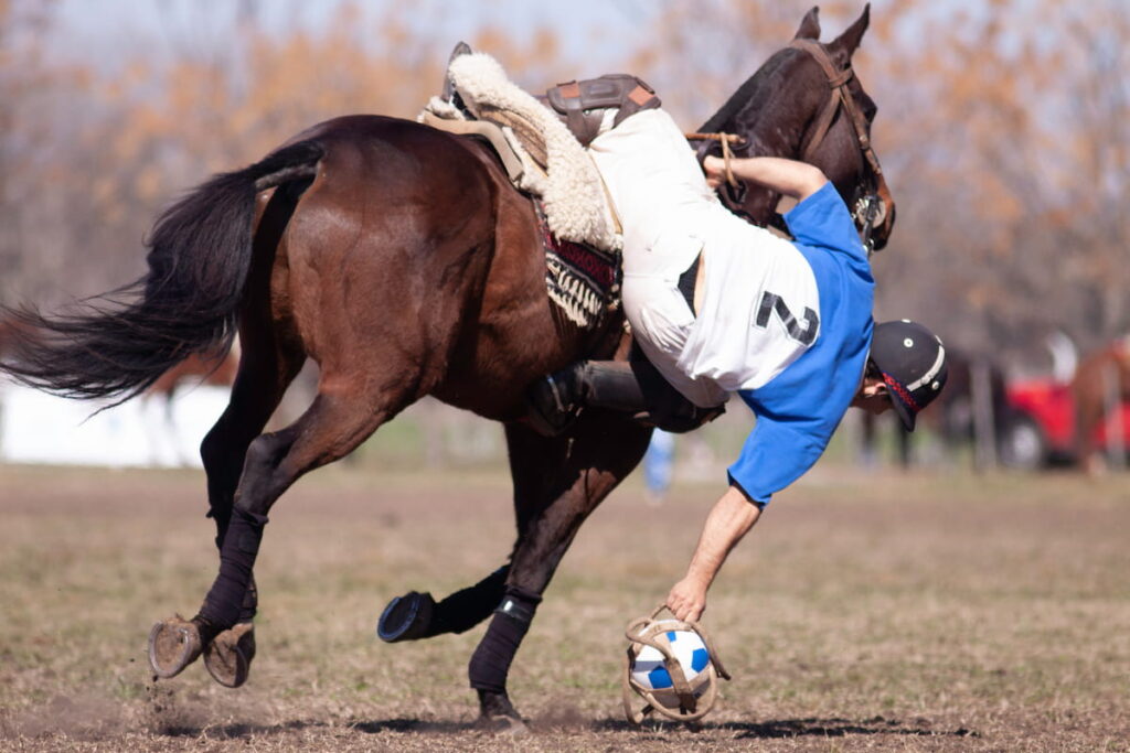 Equestrian Sport horses horseball 