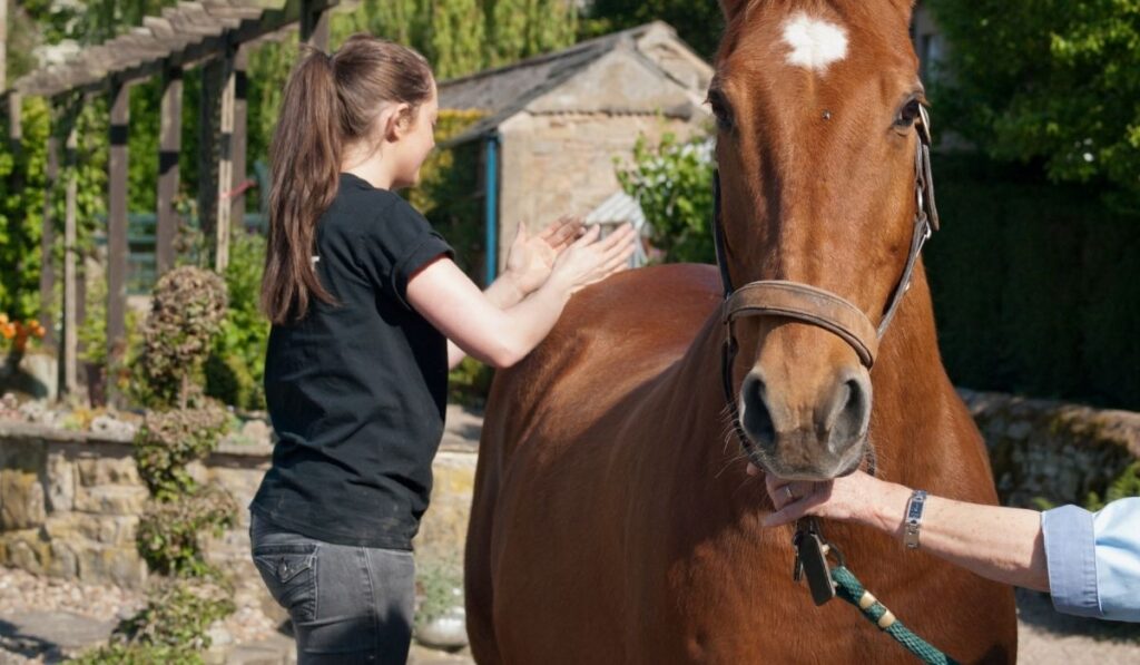 Equine Assisted Physical Therapist
