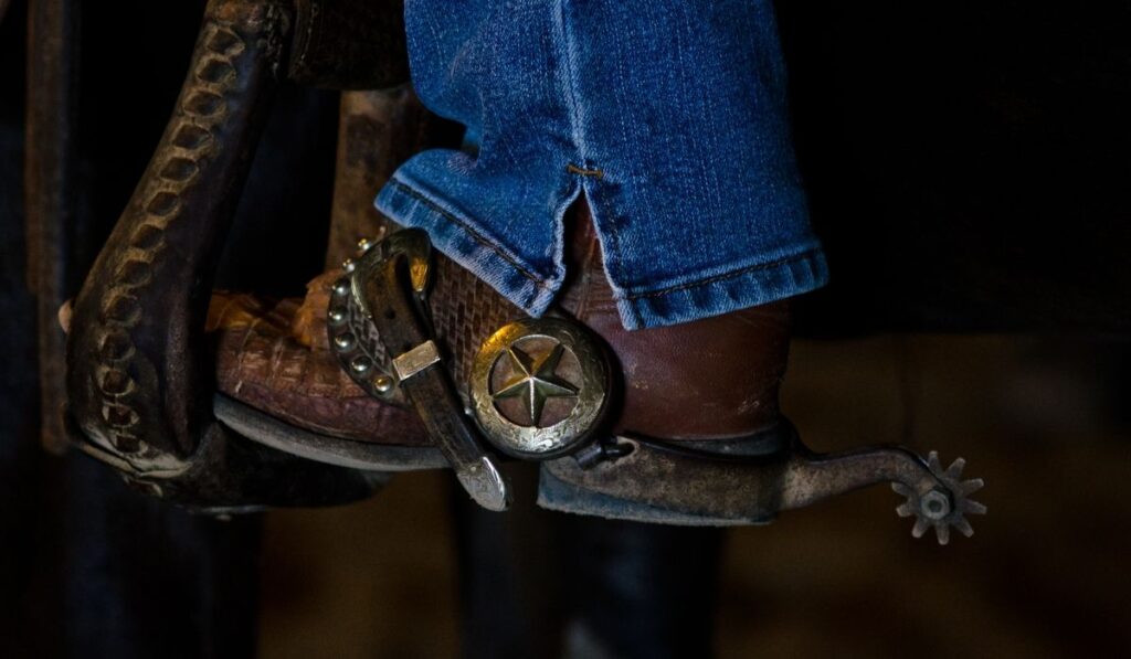 Equine Spurs on dark background