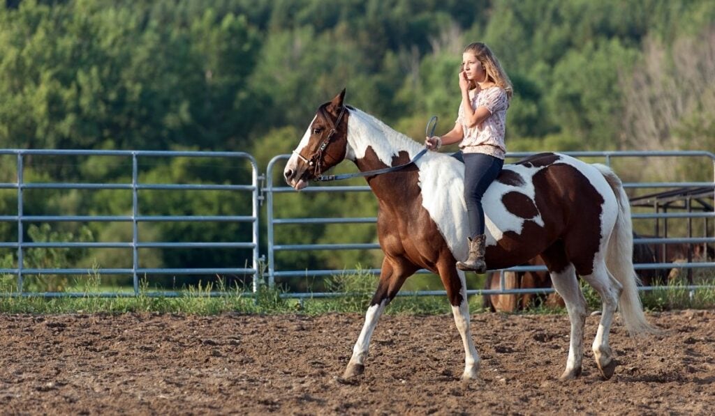 Exercise Rider