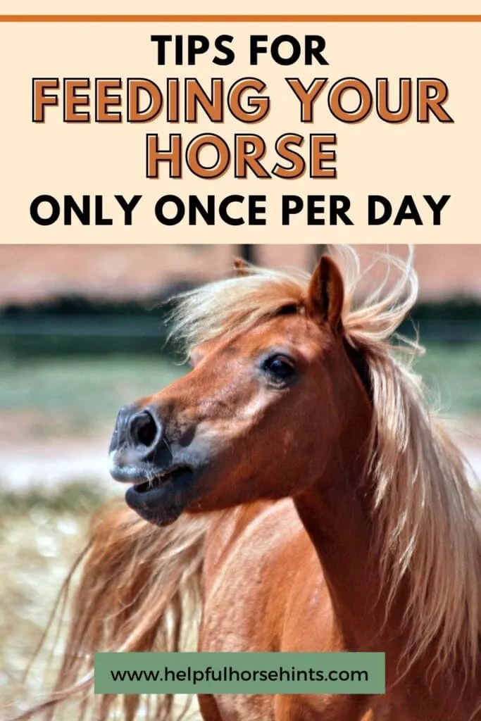 Pinterest pin - Tips for Feeding Your Horse Only Once Per Day
