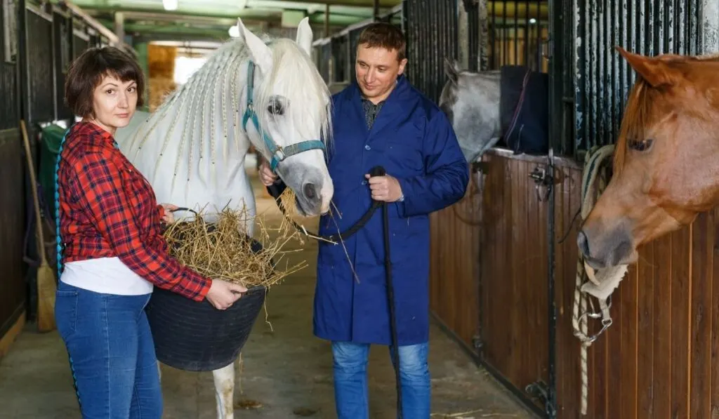 13 Ways to Put Weight on a Thoroughbred Helpful Horse Hints