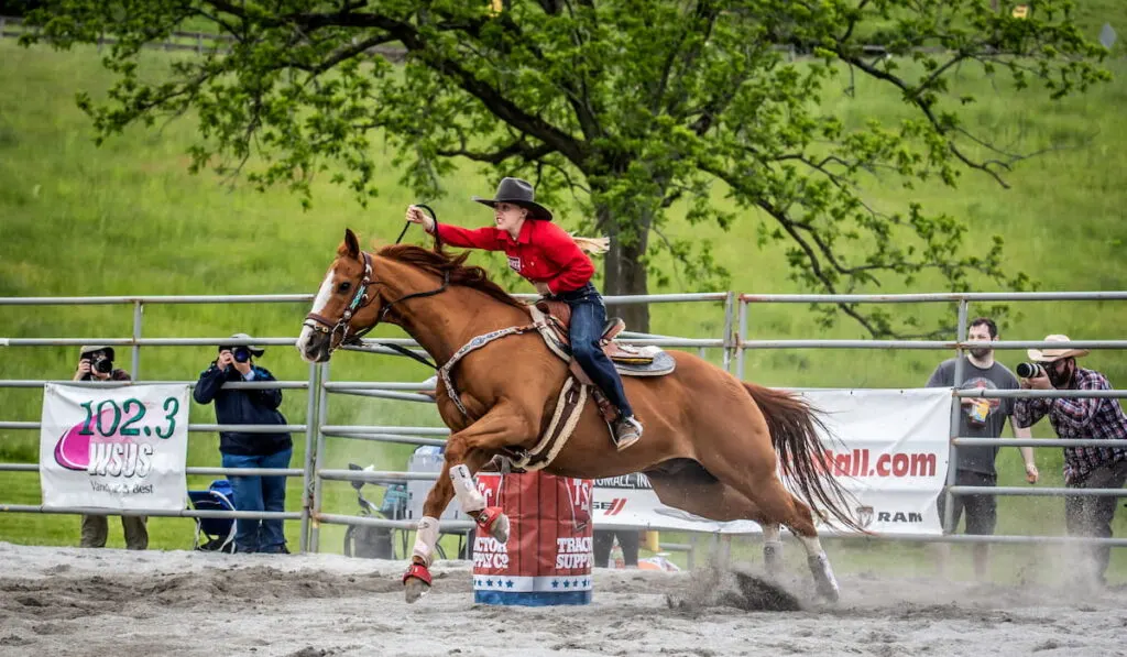 Female Barrel Racer Making the Turn Around the Barrel 