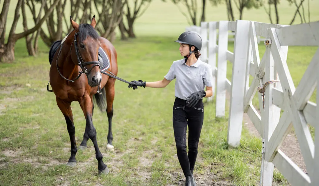 Female horseman go on lawn with Thoroughbred horse 