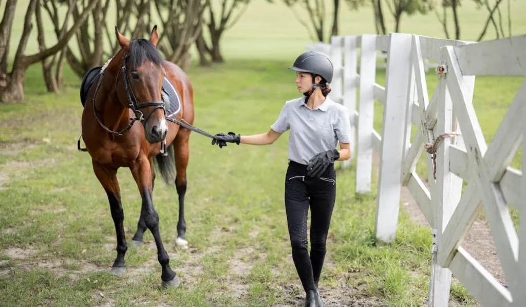 Female horseman go on lawn with Thoroughbred horse
