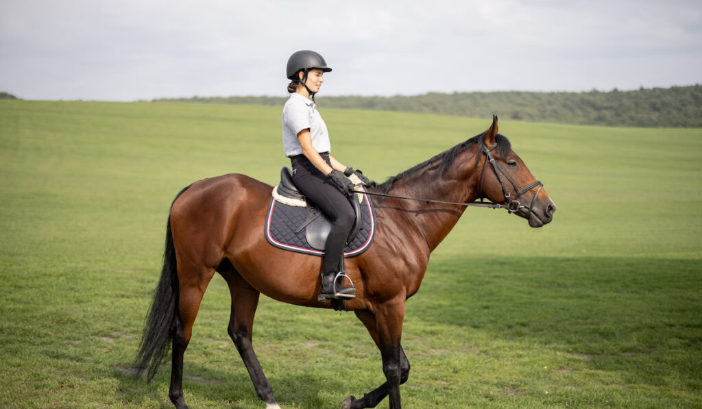 Female horseman riding brown Thoroughbred horse in summer