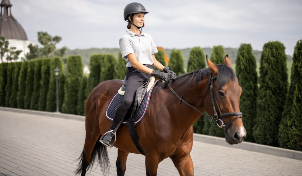 Female horseman riding brown Thoroughbred horse in summer