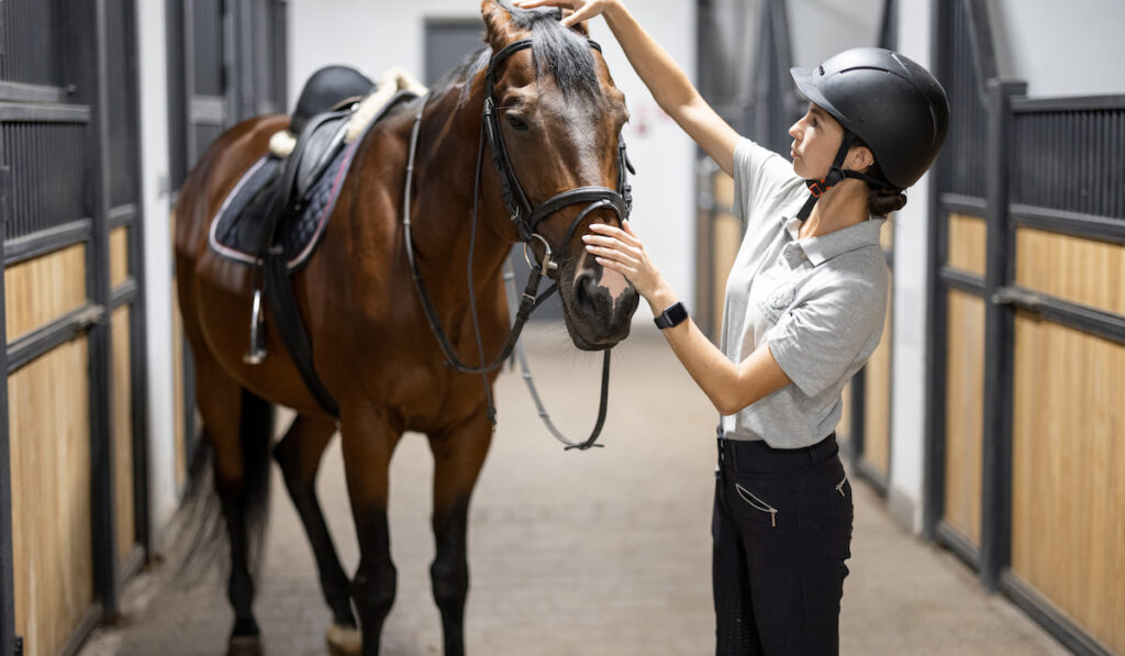 Female horseman with Thoroughbred horse in stable 