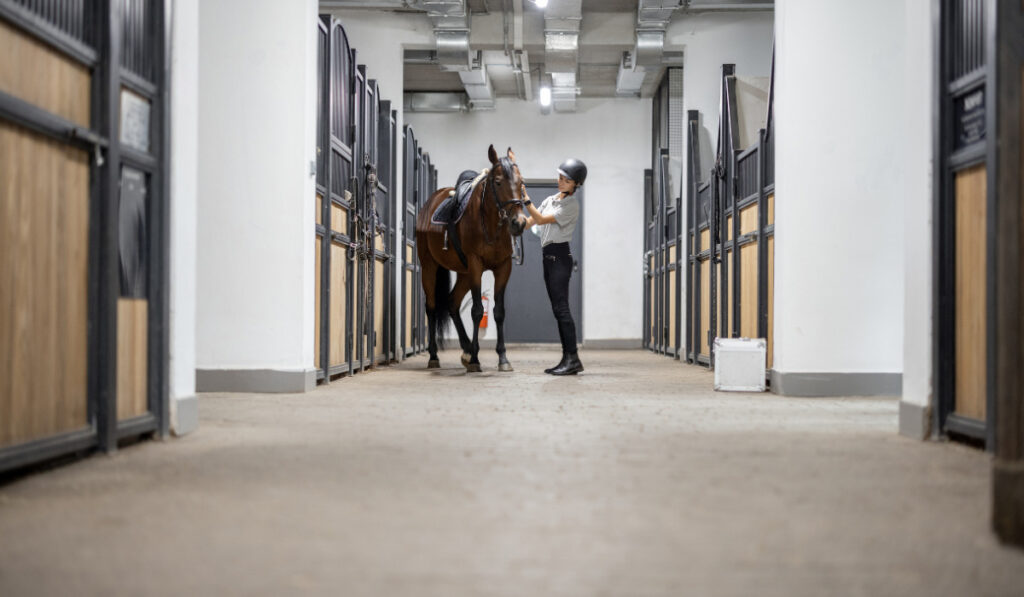 Female horseman with Thoroughbred horse in stable
