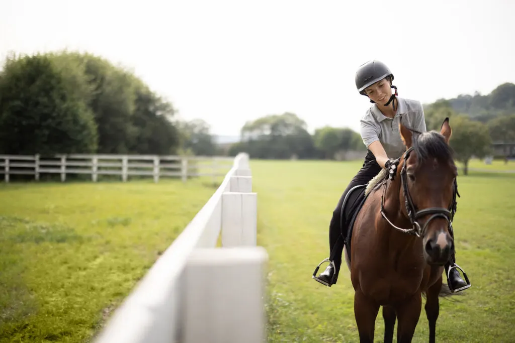 Female riding brown Thorougbred horse on green meadow near wooden fence in countryside