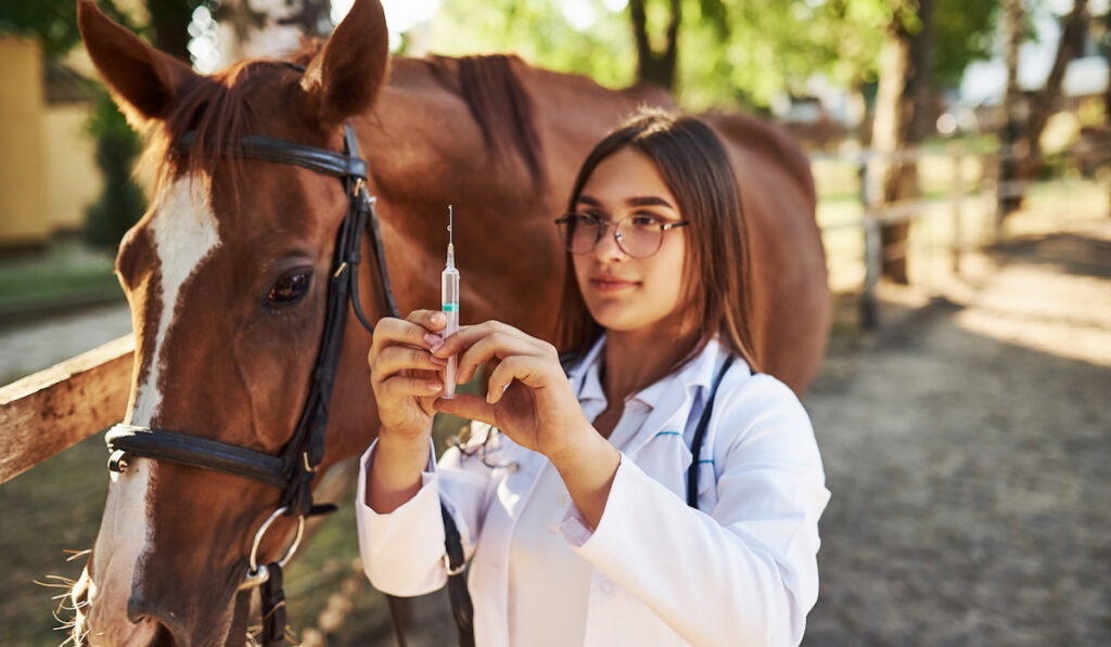 Female vet Looks at syringe examining horse outdoors at the farm