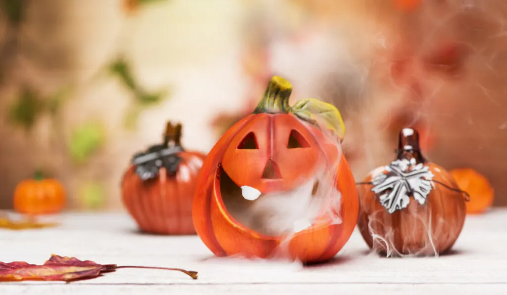 Festive autumn background decor from pumpkins