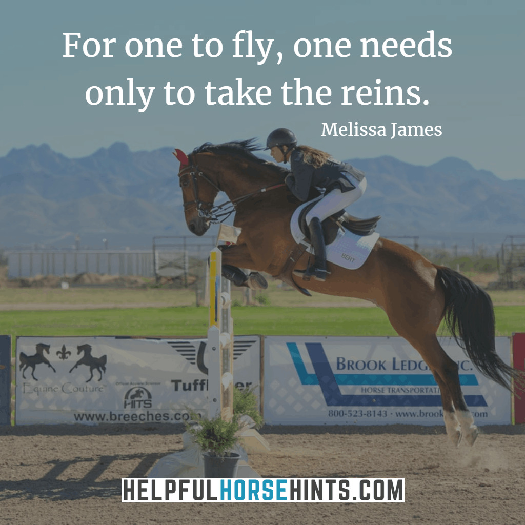 Horse Quotes - For one to fly, one needs only to take the reins.