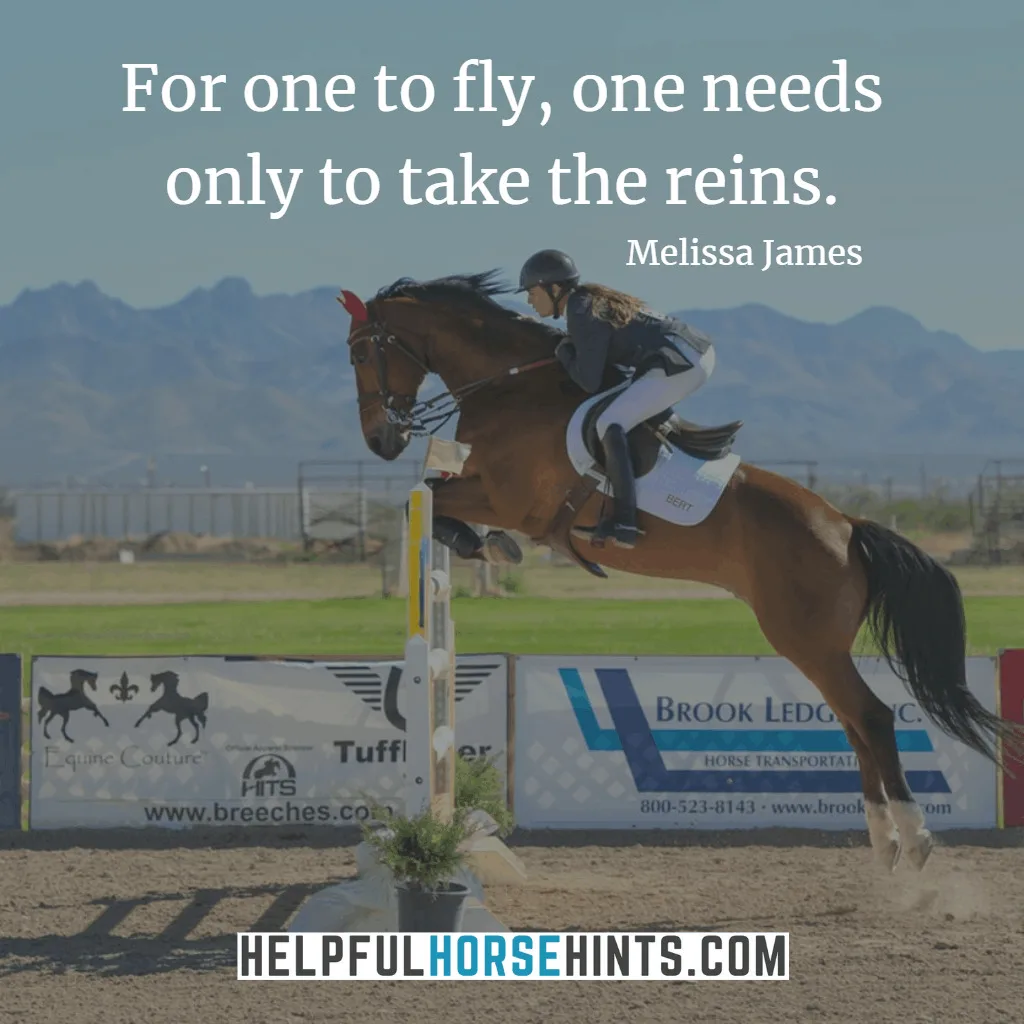 Horse Quotes - For one to fly, one needs only to take the reins.