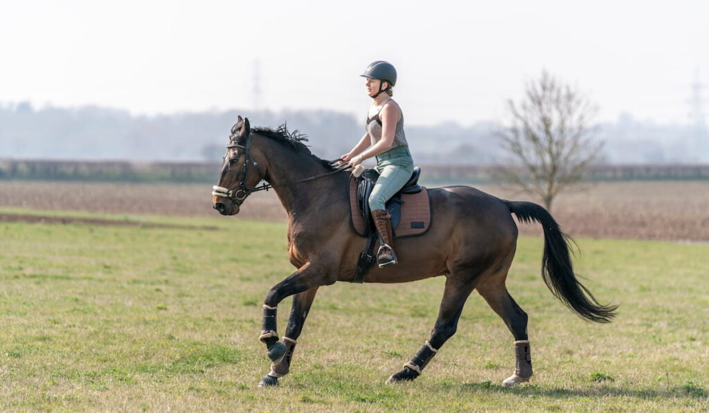 Girl galloping on brown bay horse in the field 