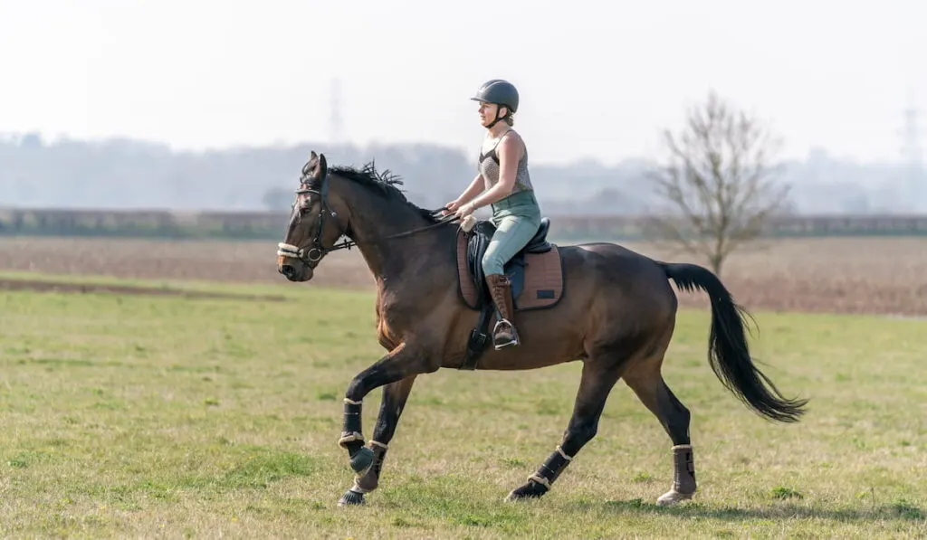 Girl galloping on brown bay horse in the field