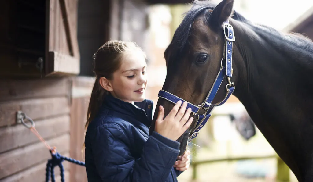 Girl horseback rider petting horse 