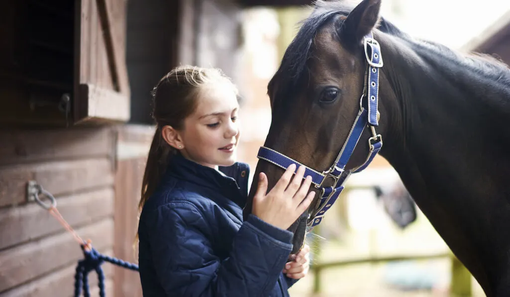 Girl horseback rider petting horse