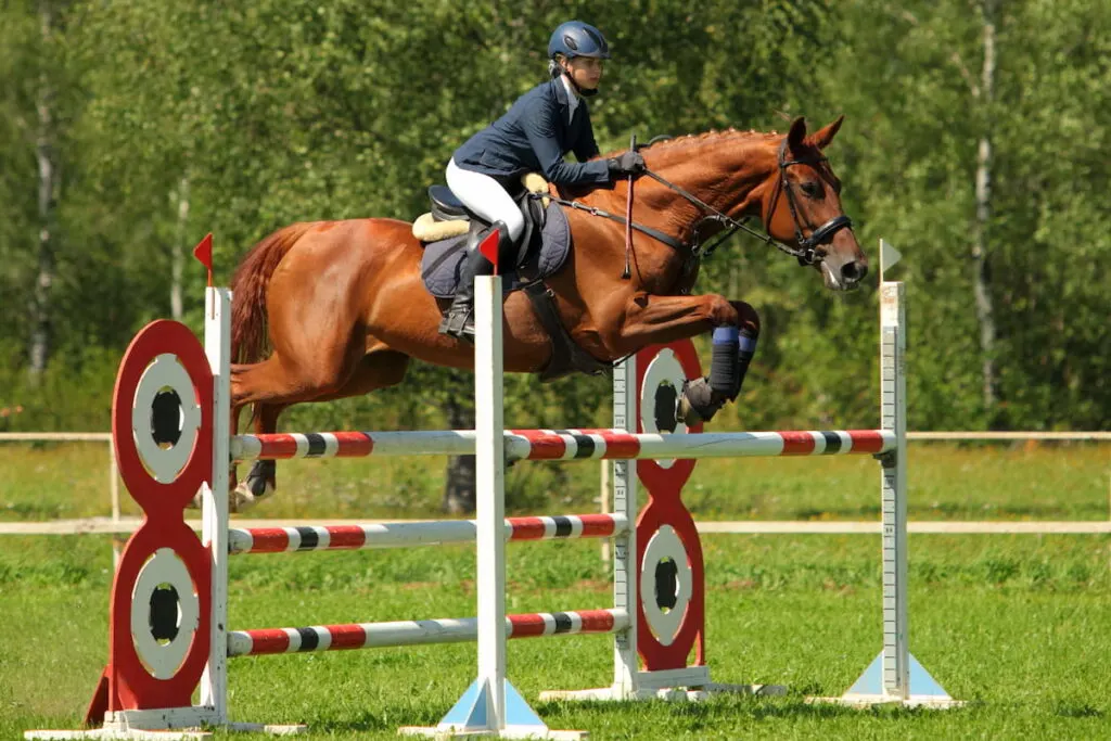 Girl in equestrian uniform on horseback doing showing oxer horse jump 