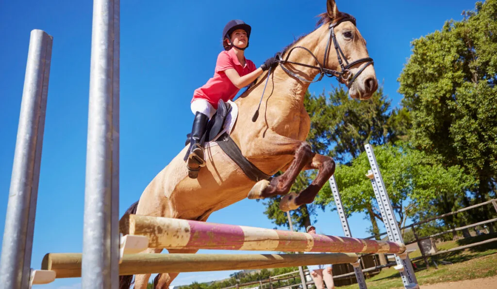 Girl on horse crossing obstacle on course