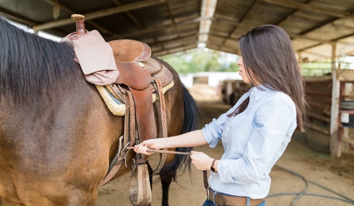 young woman's hands adjusting her horse's saddle straps and girths