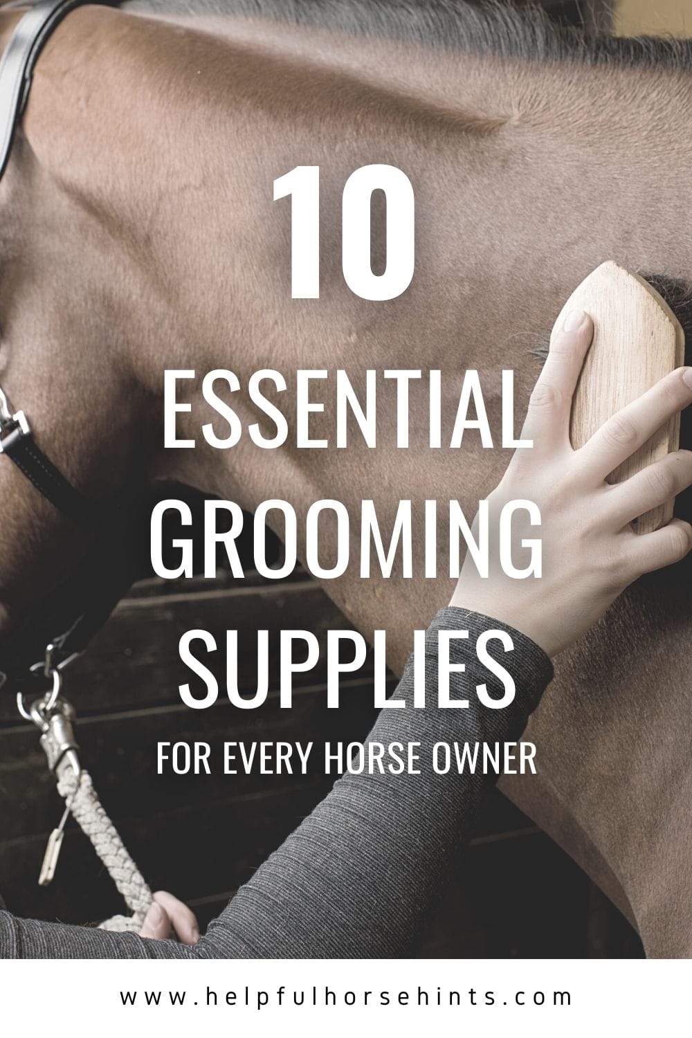 10 Essential Grooming Supplies for Every Horse Owner Helpful Horse Hints