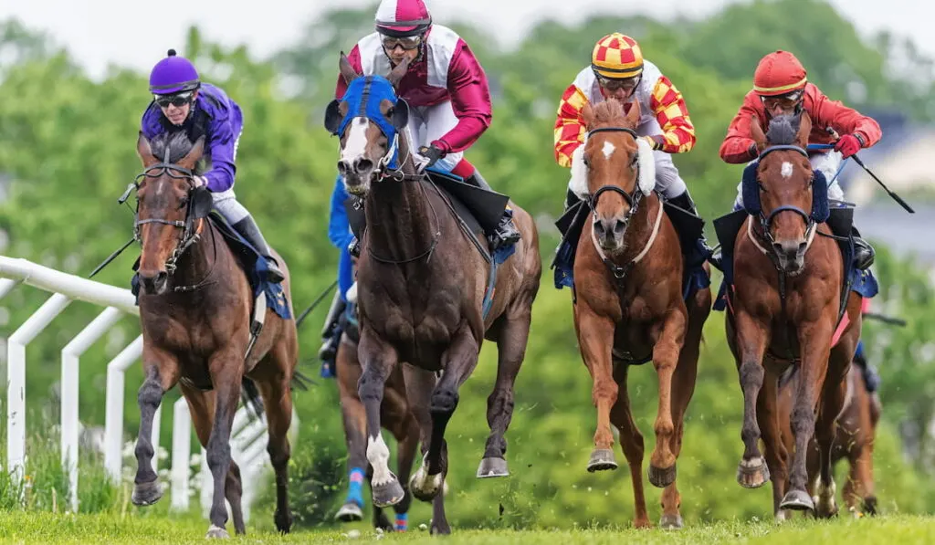 Group of jockeys and horses in fast pace during the race