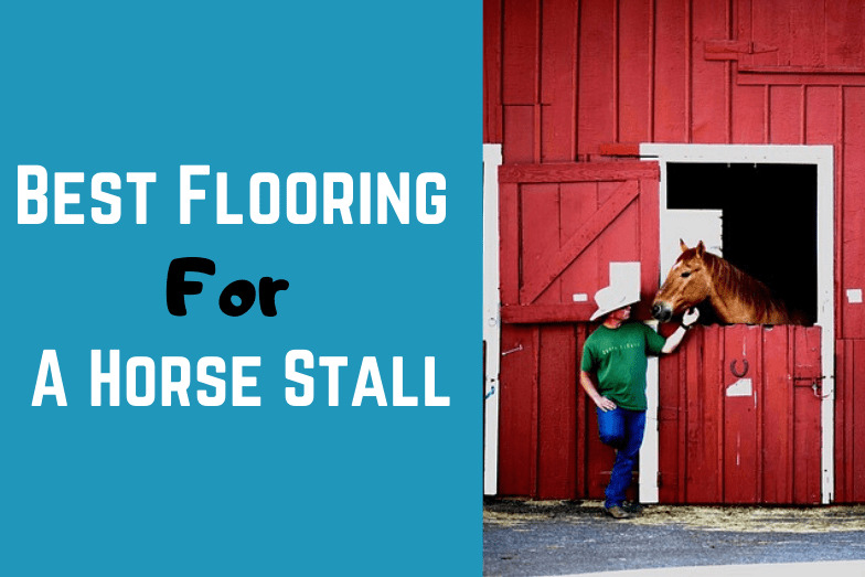 Best Flooring For A Horse Stall Helpful Horse Hints