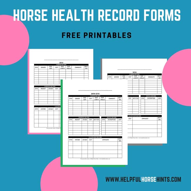 Horse Health Record Form FREE Printable (.PDF) Helpful Horse Hints