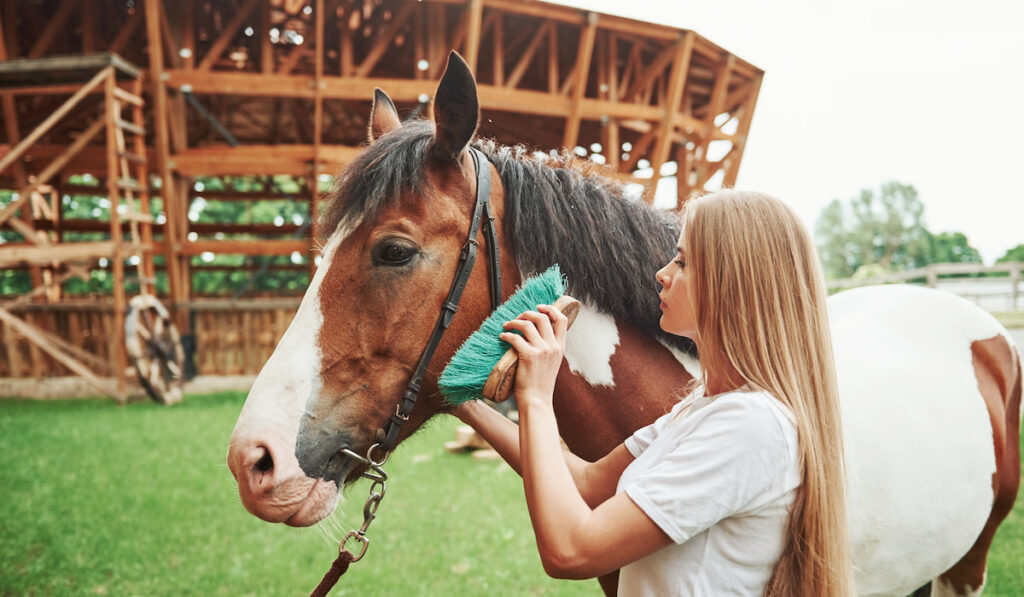 Happy woman grooming her horse on the ranch