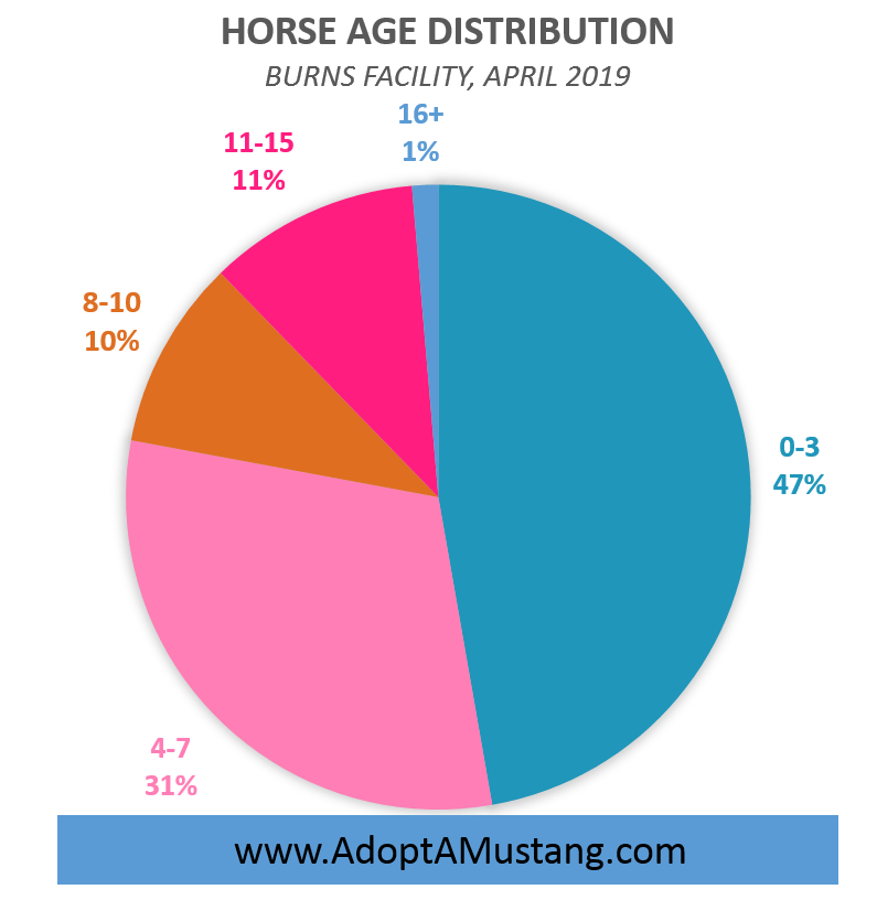 mustang horse age distribution, burns, or