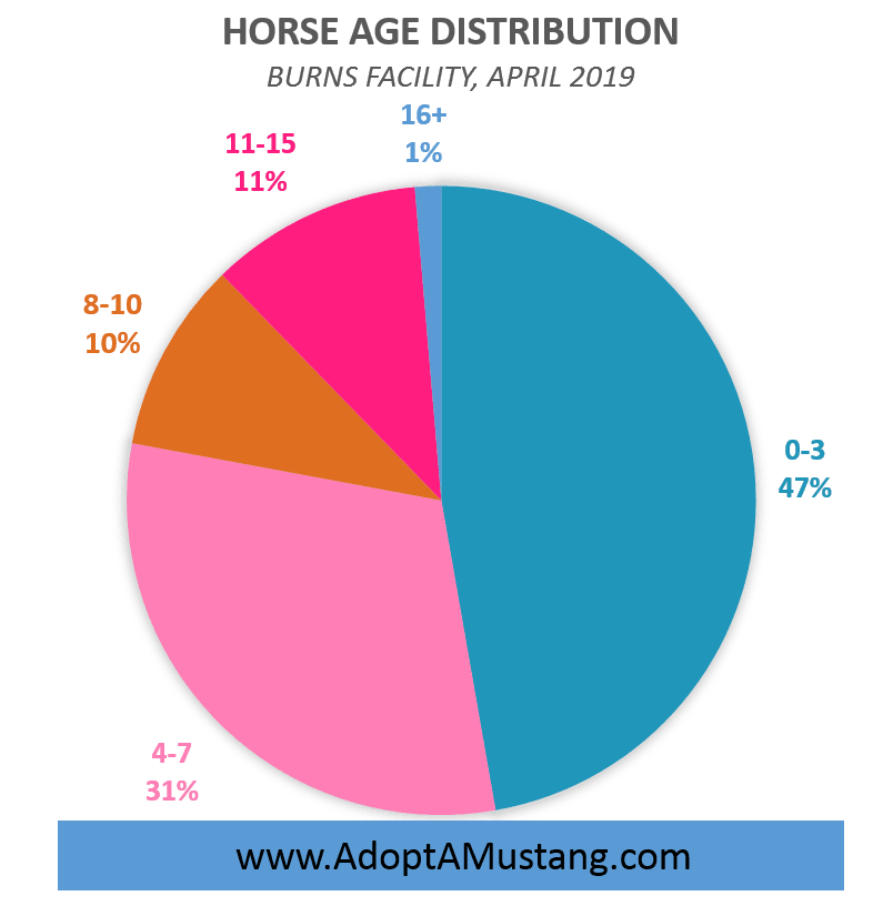 mustang horse age distribution, burns, or