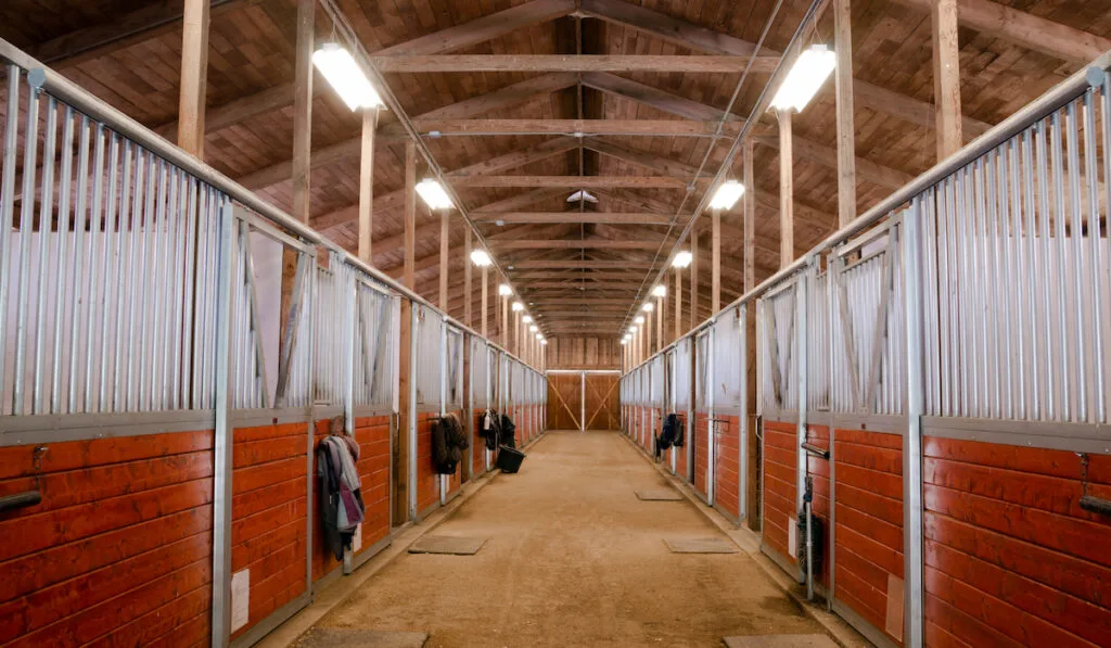 Horse Barn Animal Sport Paddock Equestrian Ranch Racing Stable