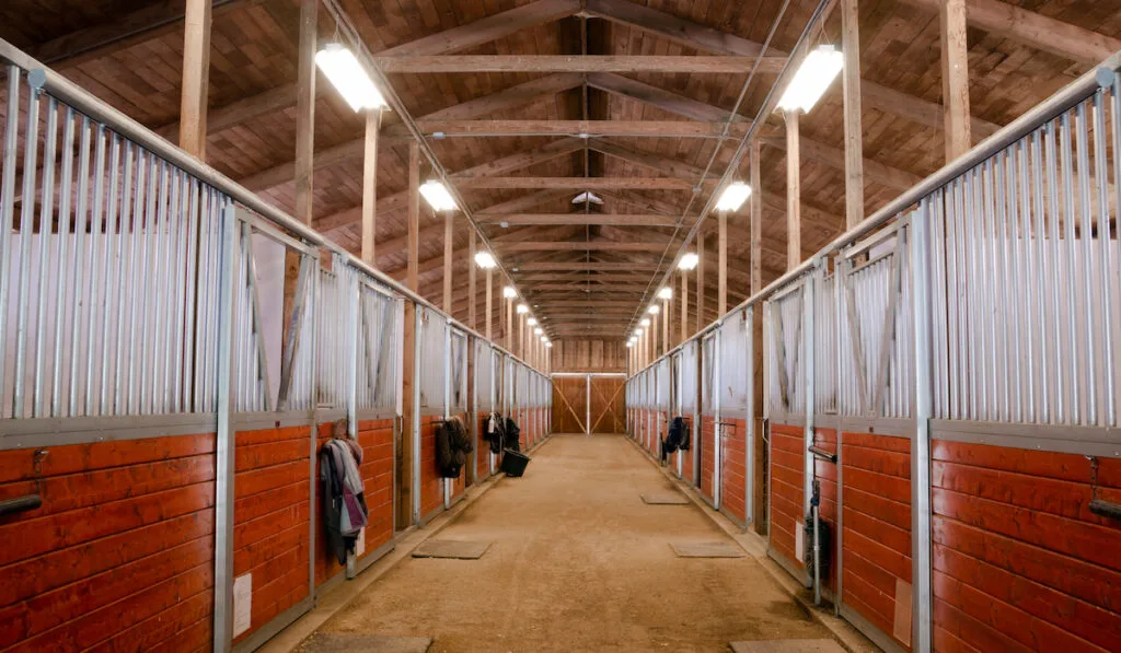 Horse Barn Animal Sport Paddock Equestrian Ranch Racing Stable 